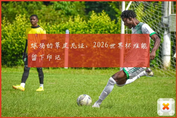 球场的草皮见证,2026世界杯谁能留下印记