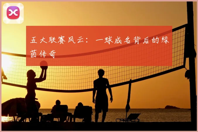 五大联赛风云：一球成名背后的绿茵传奇