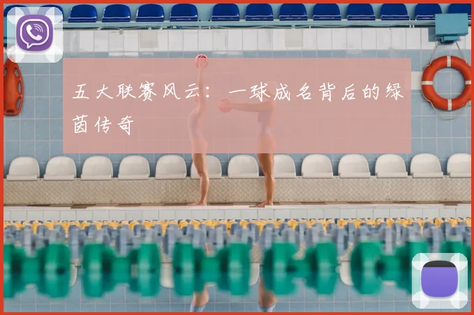 五大联赛风云:一球成名背后的绿茵传奇